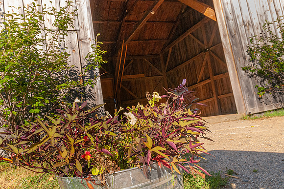 Broadturn Farm