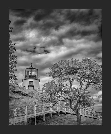 Coastal Guardian